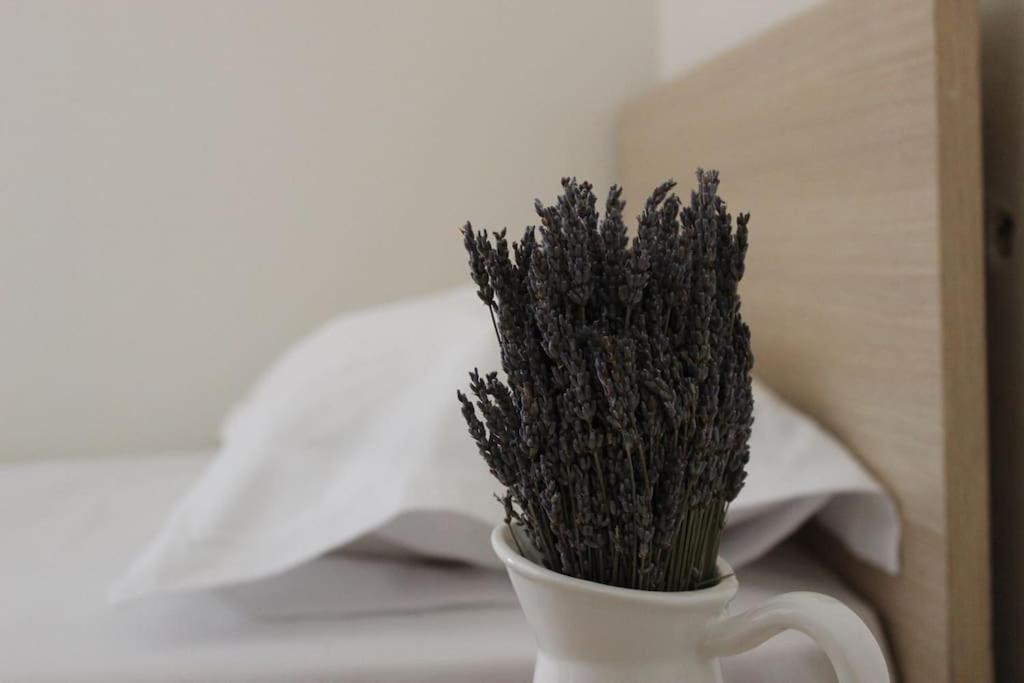 Lavandula Ring Τίρανα Εξωτερικό φωτογραφία