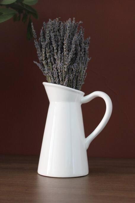 Lavandula Ring Τίρανα Εξωτερικό φωτογραφία
