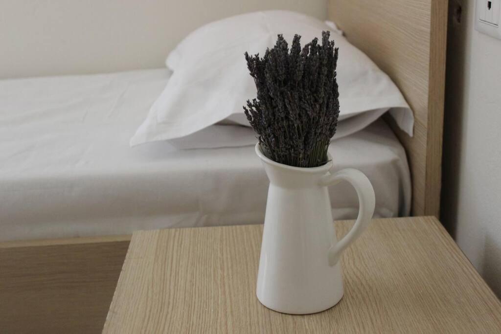 Lavandula Ring Τίρανα Εξωτερικό φωτογραφία